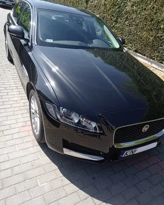 kartuzy Jaguar XF cena 65900 przebieg: 128900, rok produkcji 2016 z Kartuzy